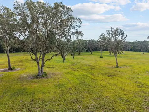 Tbd W 316 Highway Reddick FL 32686