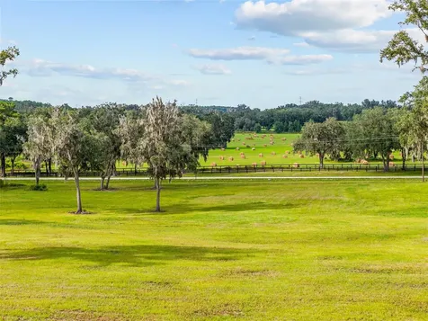 Tbd W 316 Highway Reddick FL 32686