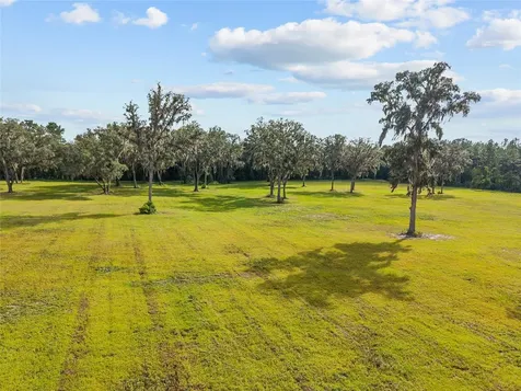 Tbd W 316 Highway Reddick FL 32686