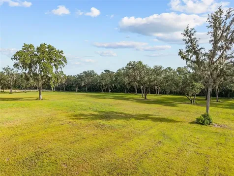 Tbd W 316 Highway Reddick FL 32686
