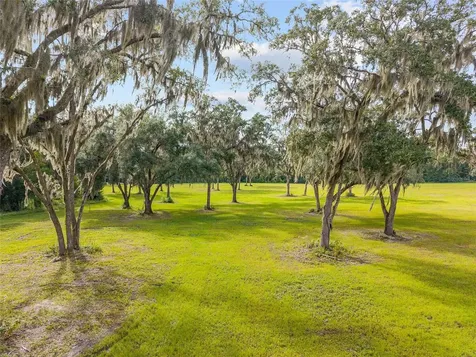 Tbd W 316 Highway Reddick FL 32686