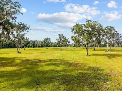 Tbd W 316 Highway Reddick FL 32686