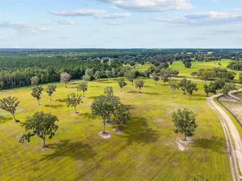 Tbd W 316 Highway Reddick FL 32686