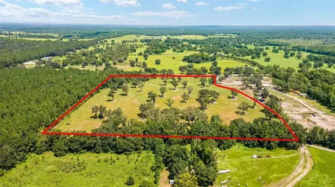 Tbd W 316 Highway Reddick FL 32686