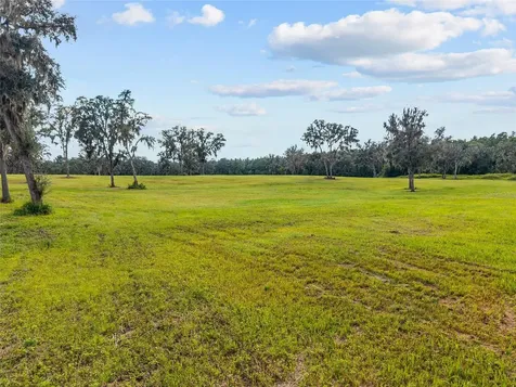 Tbd W 316 Highway Reddick FL 32686