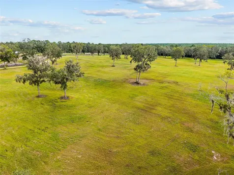 Tbd W 316 Highway Reddick FL 32686