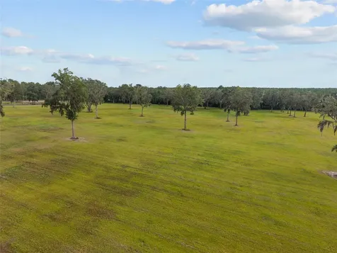 Tbd W 316 Highway Reddick FL 32686
