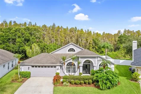 18029 Palm Breeze Drive Tampa FL 33647