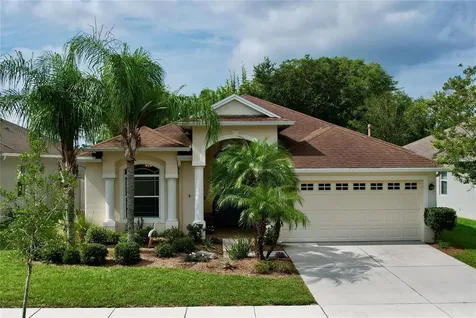 20406 Falling Rock Drive Land O Lakes FL 34638