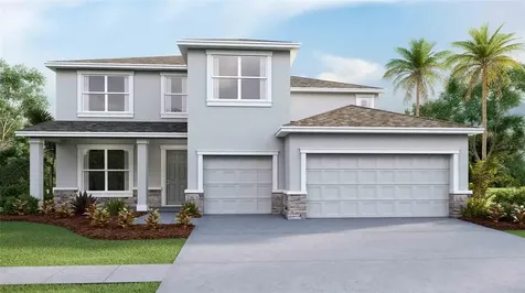 9798 Shoreline View Way Wesley Chapel FL 33545