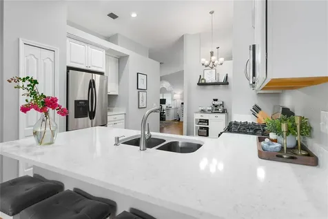 8803 Sea Island Way Tampa FL 33635