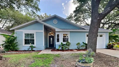 1484 Loman Court Palm Harbor FL 34683
