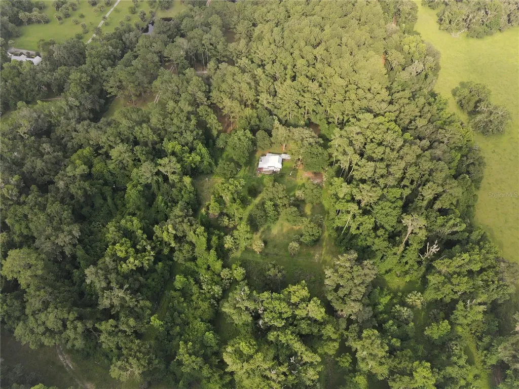15208 SW Williston Road Micanopy FL 32667