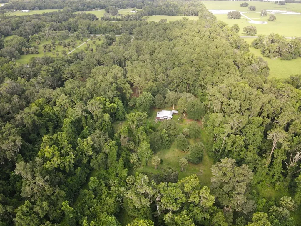 15208 SW Williston Road Micanopy FL 32667