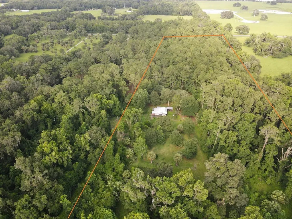 15208 SW Williston Road Micanopy FL 32667