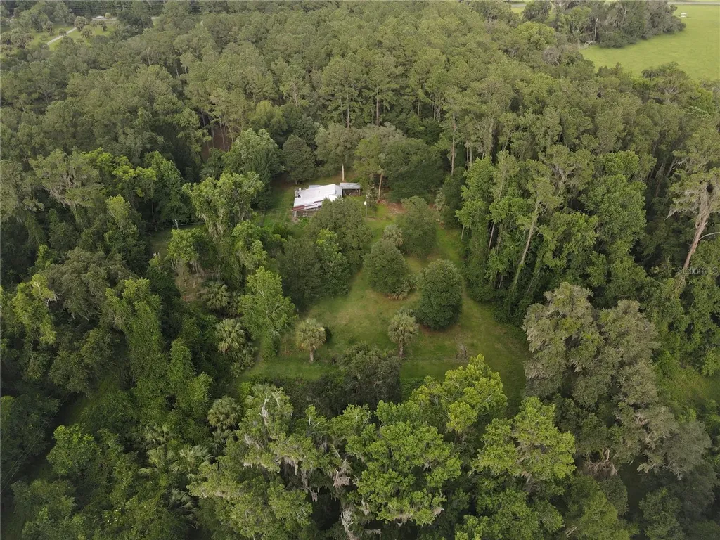 15208 SW Williston Road Micanopy FL 32667