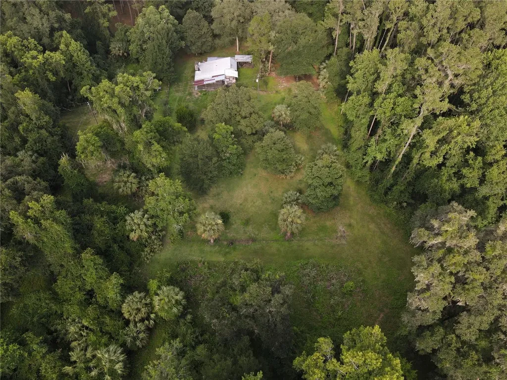 15208 SW Williston Road Micanopy FL 32667