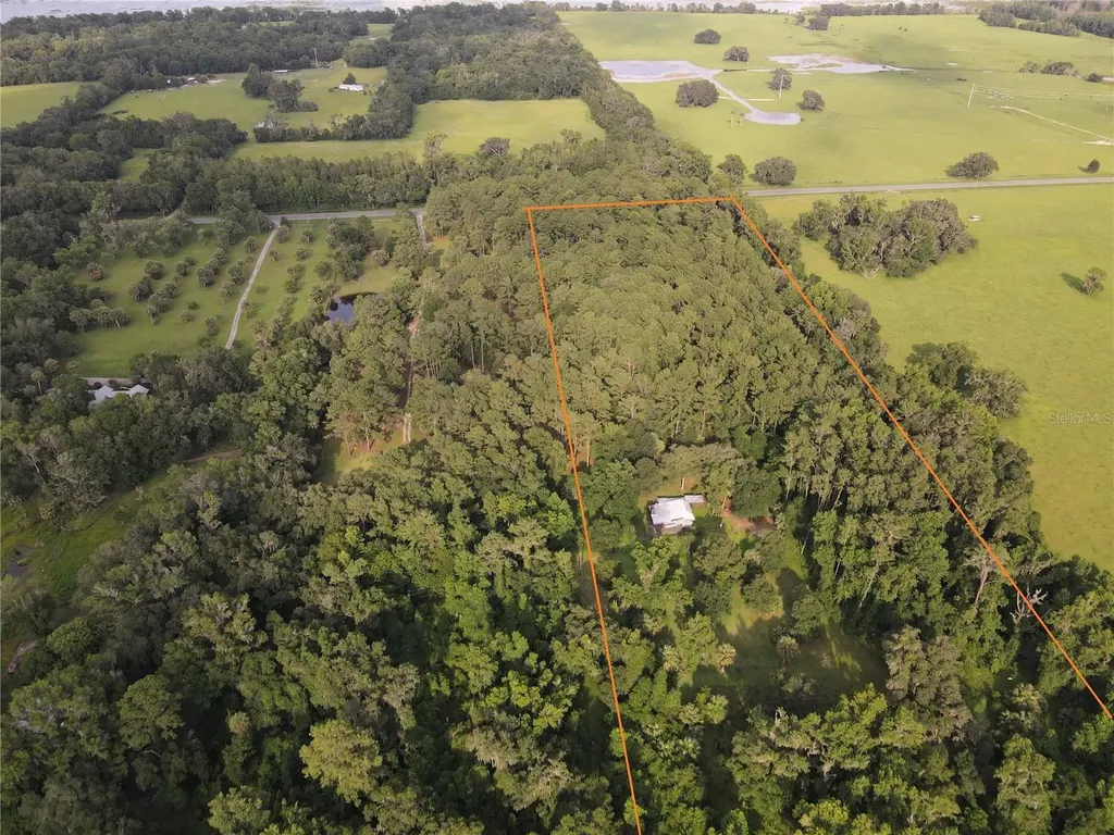 15208 SW Williston Road Micanopy FL 32667