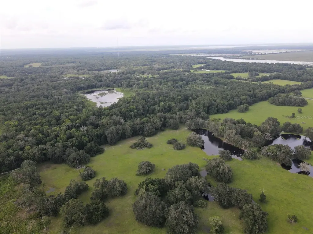 15208 SW Williston Road Micanopy FL 32667
