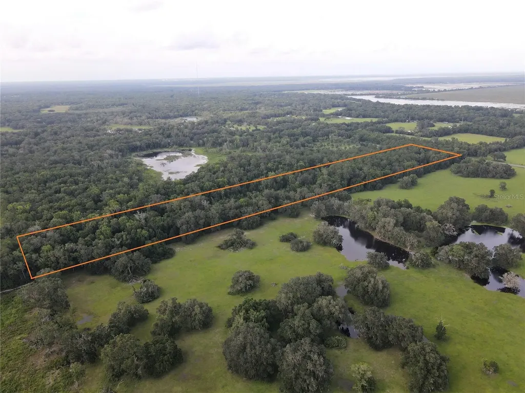 15208 SW Williston Road Micanopy FL 32667