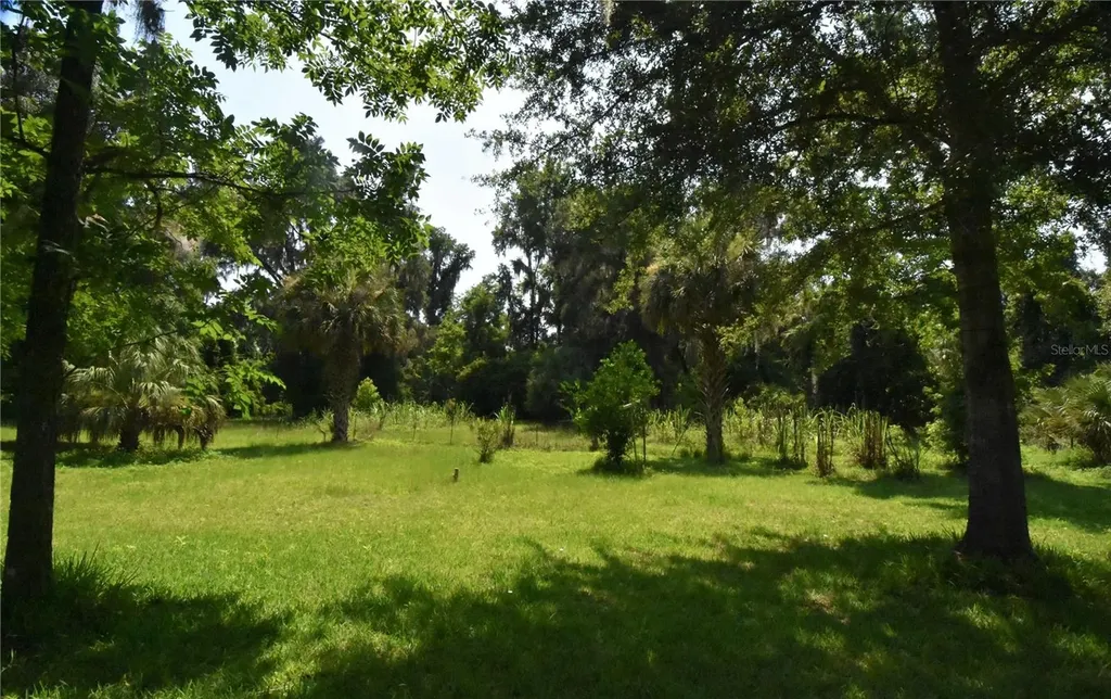 15208 SW Williston Road Micanopy FL 32667
