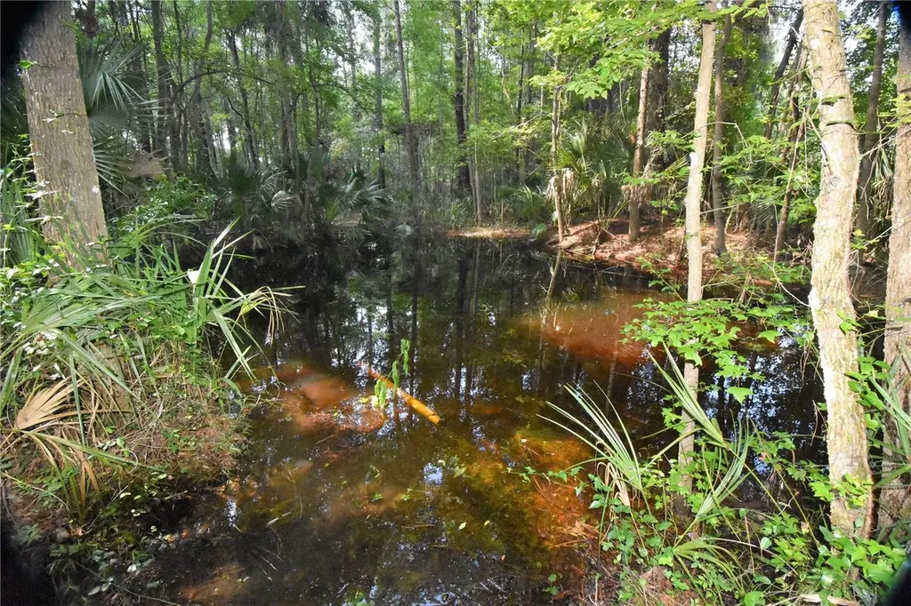 15208 SW Williston Road Micanopy FL 32667