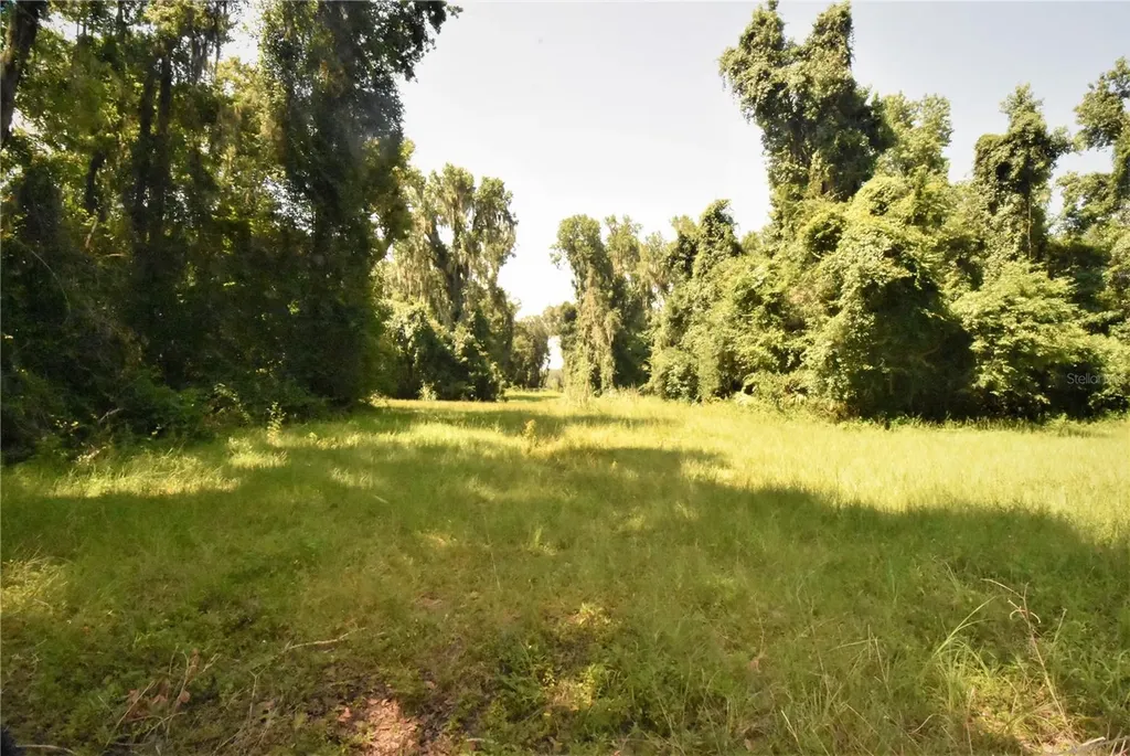 15208 SW Williston Road Micanopy FL 32667