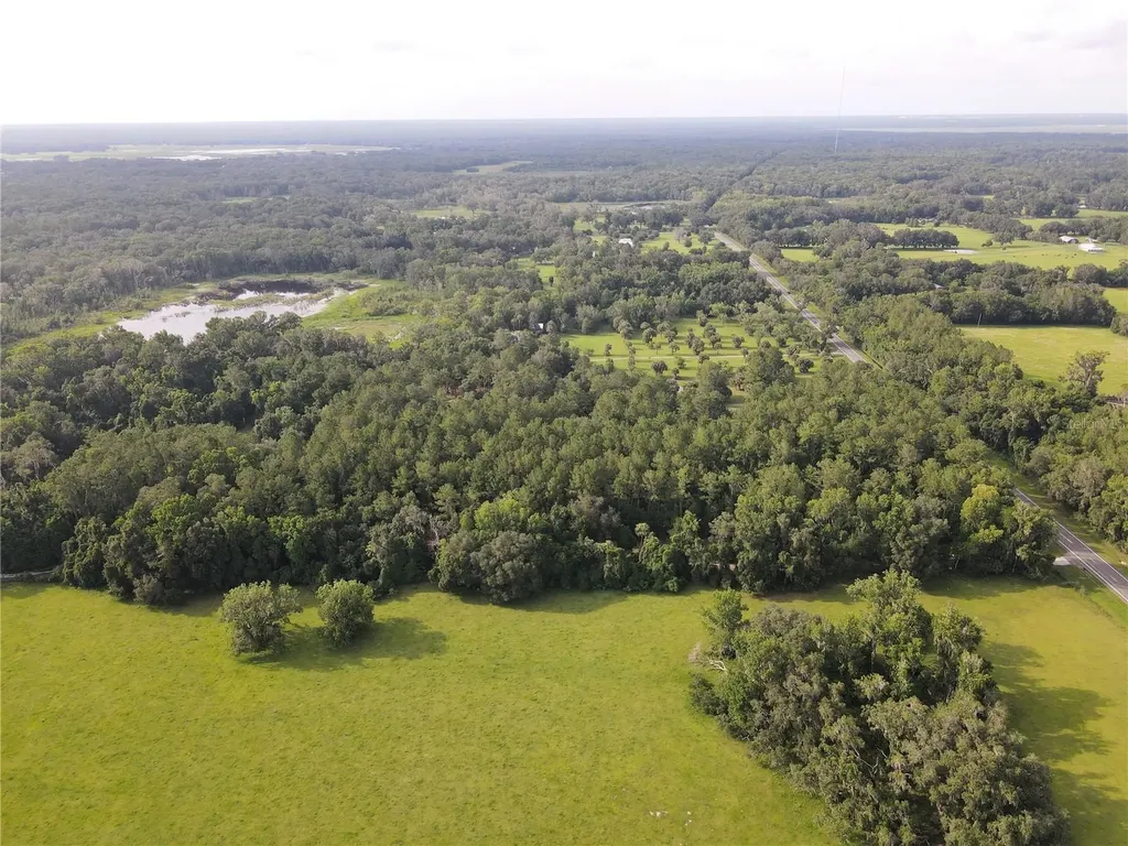 15208 SW Williston Road Micanopy FL 32667