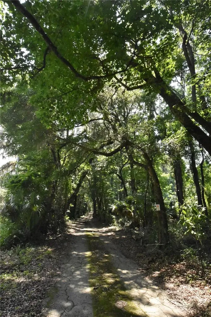 15208 SW Williston Road Micanopy FL 32667