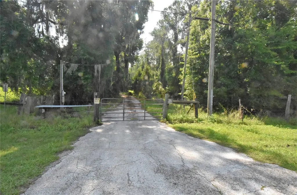 15208 SW Williston Road Micanopy FL 32667