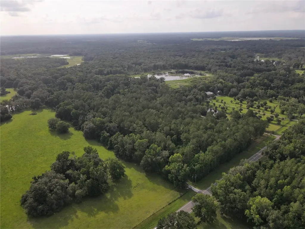 15208 SW Williston Road Micanopy FL 32667