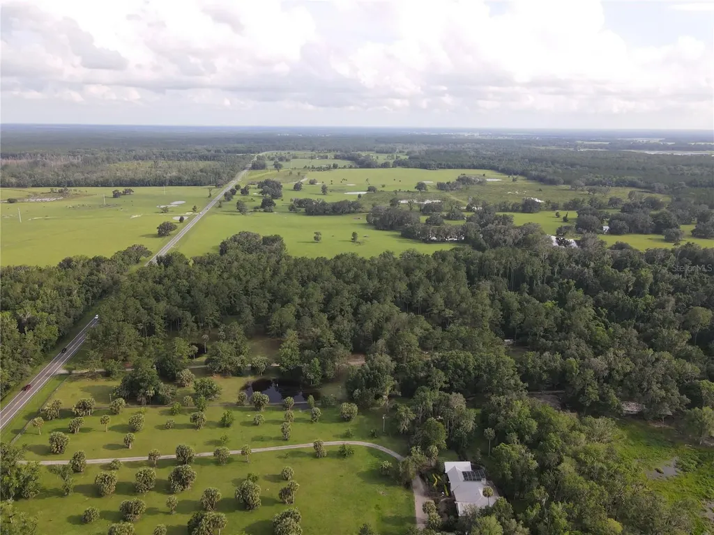 15208 SW Williston Road Micanopy FL 32667