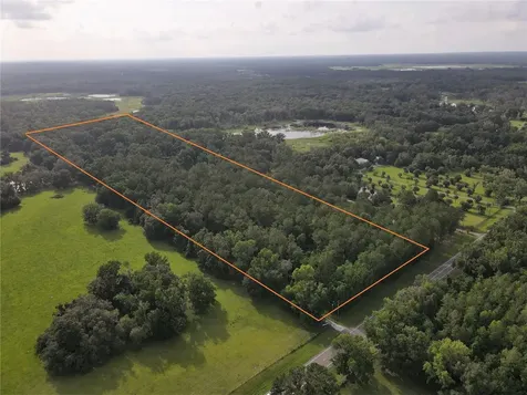 15208 SW Williston Road Micanopy FL 32667