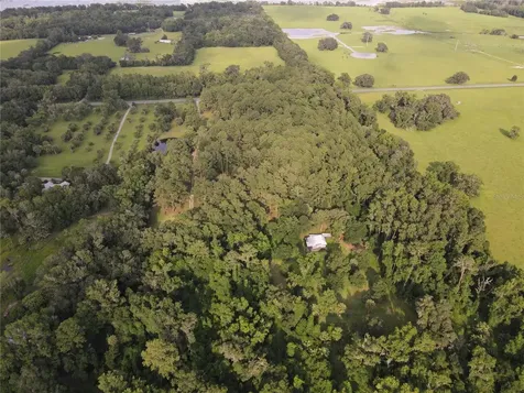 15208 SW Williston Road Micanopy FL 32667