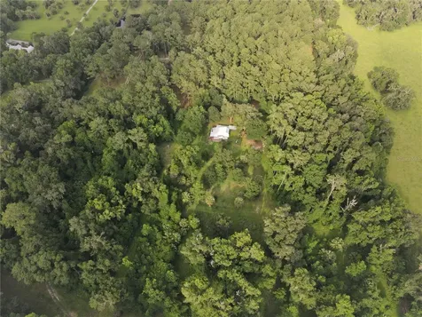 15208 SW Williston Road Micanopy FL 32667