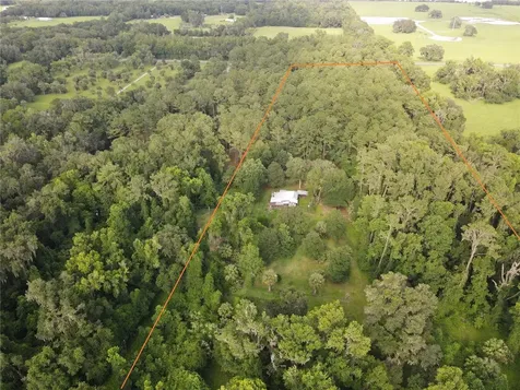 15208 SW Williston Road Micanopy FL 32667