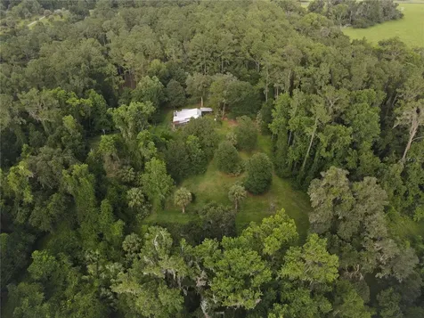 15208 SW Williston Road Micanopy FL 32667