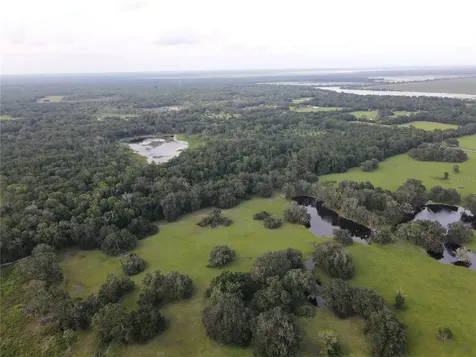 15208 SW Williston Road Micanopy FL 32667