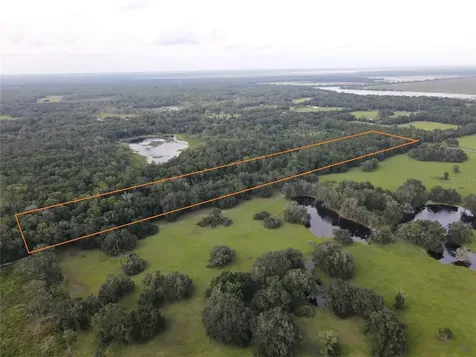 15208 SW Williston Road Micanopy FL 32667