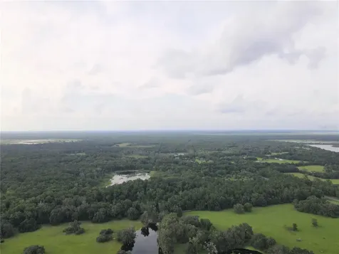15208 SW Williston Road Micanopy FL 32667