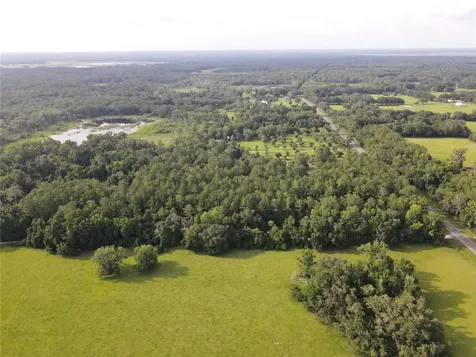 15208 SW Williston Road Micanopy FL 32667