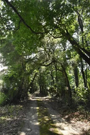 15208 SW Williston Road Micanopy FL 32667