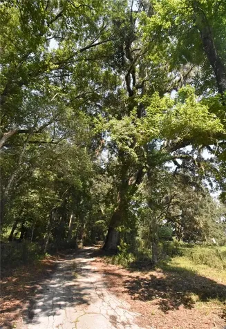 15208 SW Williston Road Micanopy FL 32667