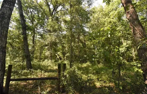 15208 SW Williston Road Micanopy FL 32667