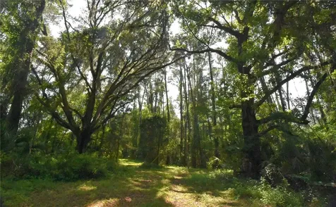 15208 SW Williston Road Micanopy FL 32667