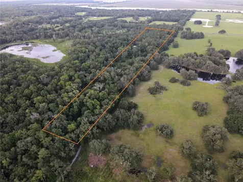 15208 SW Williston Road Micanopy FL 32667