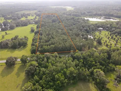 15208 SW Williston Road Micanopy FL 32667