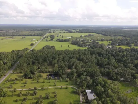 15208 SW Williston Road Micanopy FL 32667
