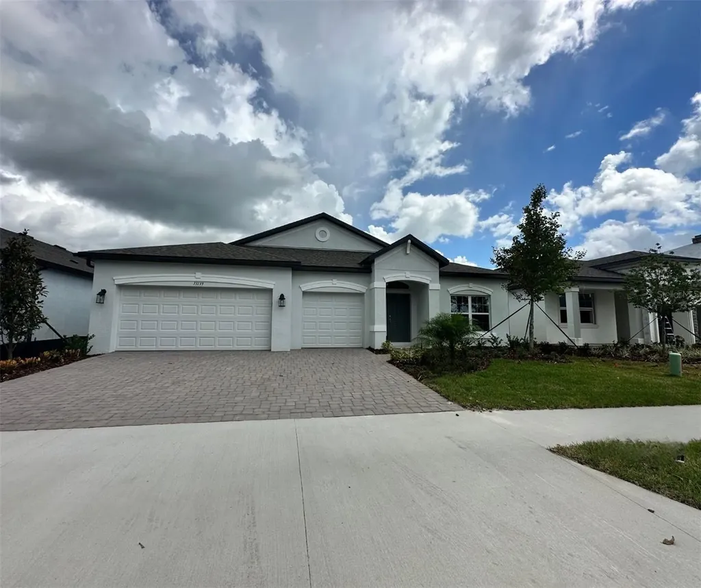 33139 Sycamore Leaf Drive Wesley Chapel FL 33545