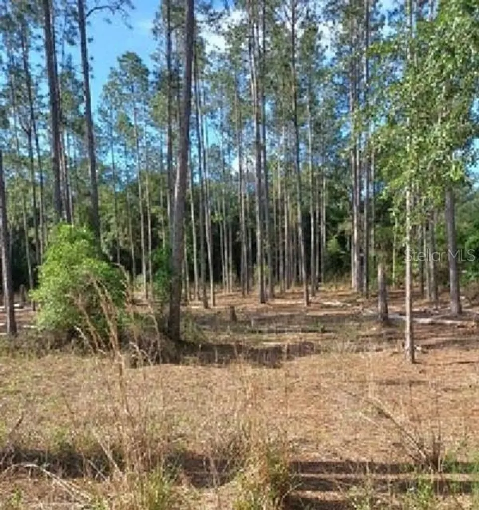 Tbd SW Corner Sw95 Ave\sw 158 Lane Dunnellon FL 34432